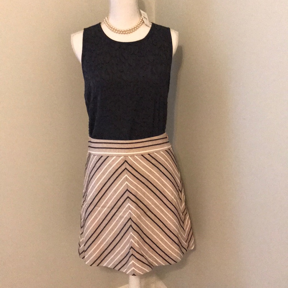 NWT! Adorable Loft textured a-line skirt size 10